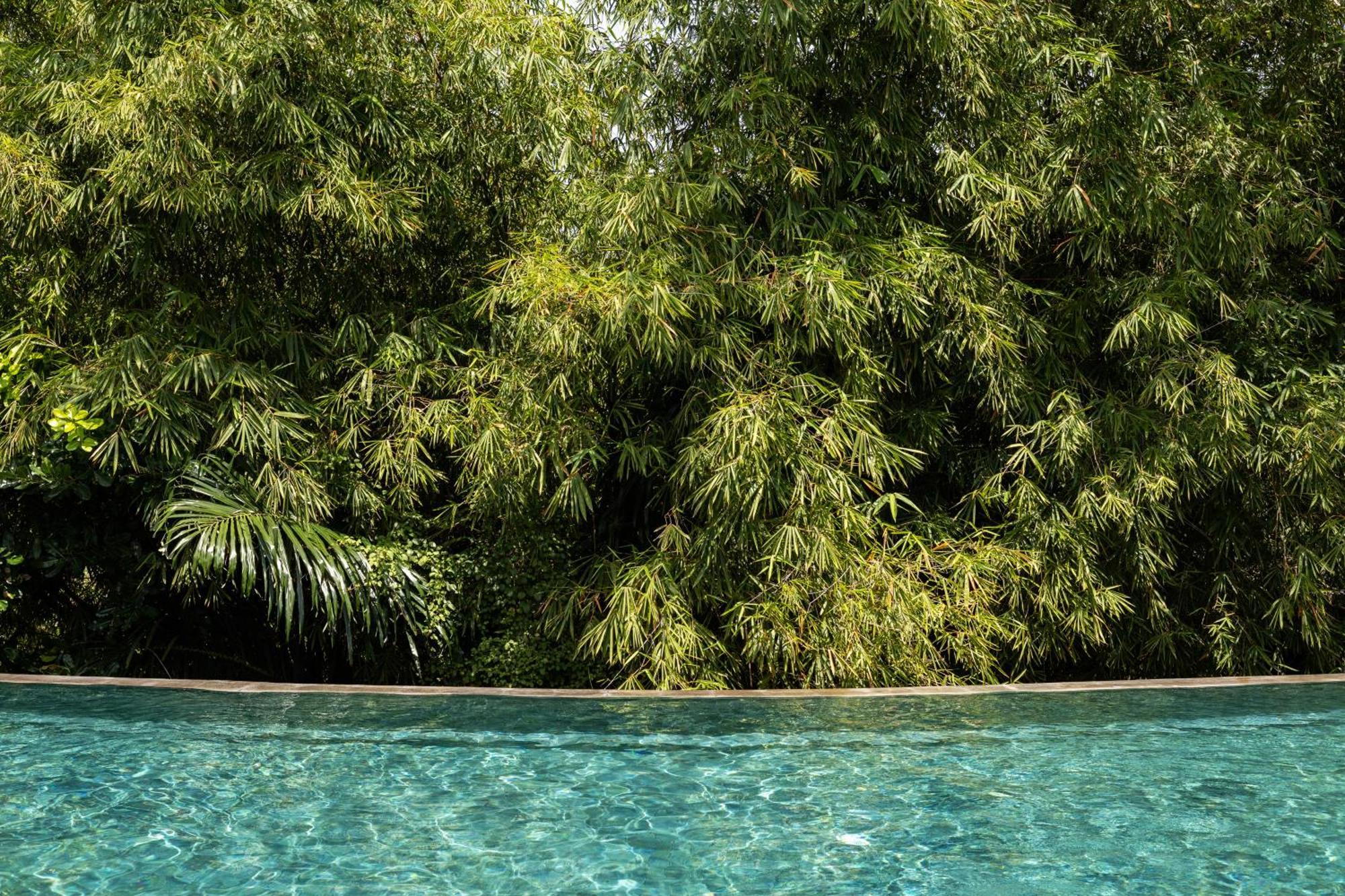 Theanna Villa And Spa Canggu Εξωτερικό φωτογραφία